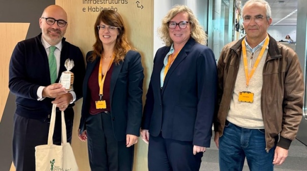 Marlene Guerreiro reuniu com Miguel Pinto Luz sobre obras "urgentes" na EN2