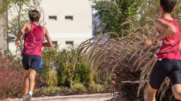 Campeonatos Nacionais de Corta-Mato disputam-se este fim de semana em Lagoa