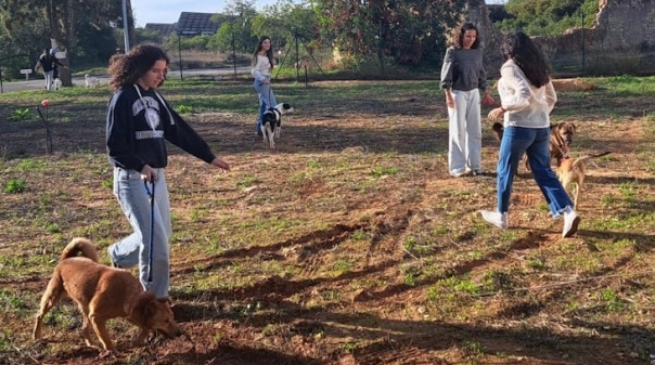 Segunda edição da Cãominhada decorreu em Olhão e promete voltar 