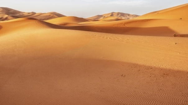 Equipa liderada por investigador da Universidade do Algarve pioneira em descoberta no deserto