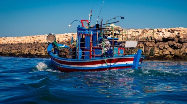 Pesca sentinela da raia-curva proibida no Centro, Sudoeste e Algarve