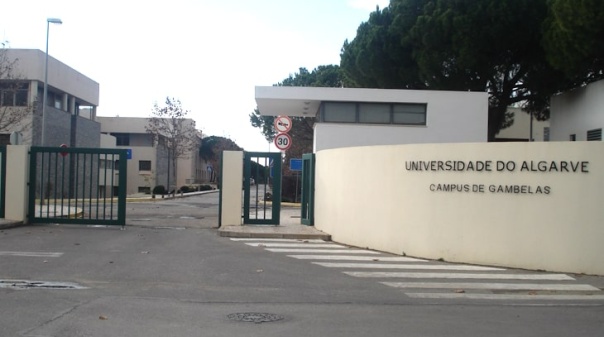 Greve geral: Sindicato do ensino superior promove concentrações em Faro, Porto, Coimbra e Braga