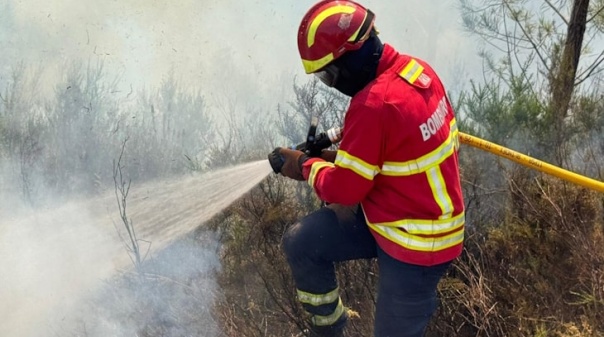 PJ detém homem suspeito de ter provocado incêndio florestal no concelho de Tavira
