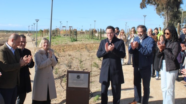 Olh&atilde;o tem uma nova zona de contempla&ccedil;&atilde;o da natureza 