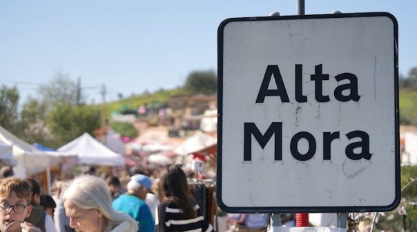 Festival das Amendoeiras em Flor regressa a Alta Mora em fevereiro