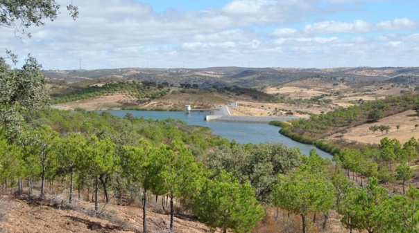 Associa&ccedil;&atilde;o de regantes do sotavento algarvio assume gest&atilde;o de mais quatro &aacute;reas
