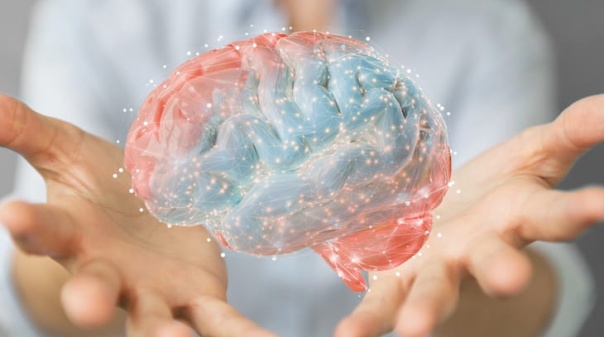 Os nossos pensamentos mudam o c&eacute;rebro