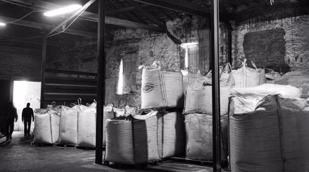 Exposi&ccedil;&atilde;o sobre alfarroba promove identidade do Algarve em Loul&eacute;