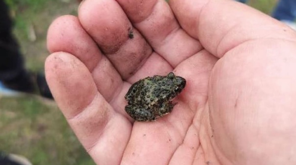 Parque Municipal do S&iacute;tio das Fontes recebe oficina de charcos 