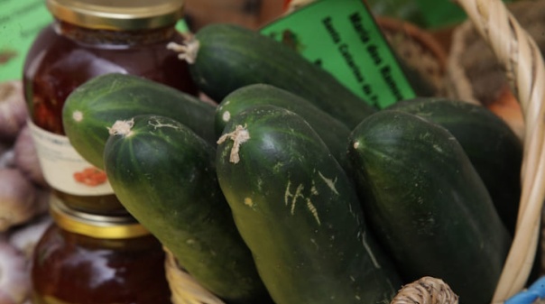 ONU institui Dia Internacional da Dieta Mediterr&acirc;nica 