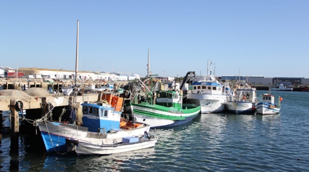 Munic&iacute;pio sa&uacute;da investimento no Porto de Pesca de Olh&atilde;o mas diz que h&aacute; outras necessidades maiores