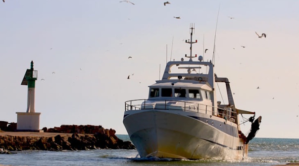 16 lotas nacionais com certifica&ccedil;&atilde;o em seguran&ccedil;a alimentar 