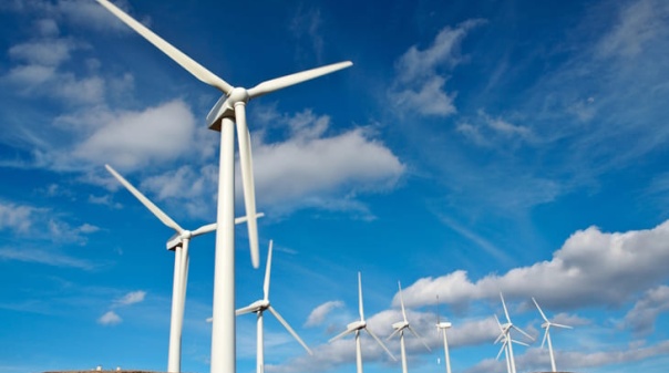 Ecologistas alertam para risco de megaprojetos e&oacute;licos no nordeste algarvio