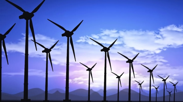 SPEA pede chumbo de e&oacute;lica no nordeste algarvio por impacto ambiental grave