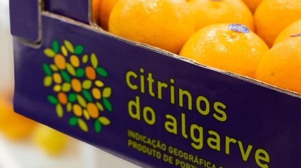 Citrinos do Algarve IGP levam sabor portugu&ecirc;s ao mercado alem&atilde;o