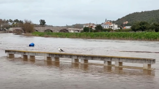 Zona ribeirinha de Silves afetada por cheias
