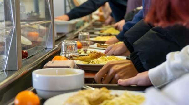 C&acirc;mara de Olh&atilde;o diz que refei&ccedil;&otilde;es servidas nas escolas do concelho cumprem "normas de higiene e seguran&ccedil;a alimentar" 