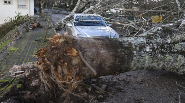 Cruz Vermelha Portuguesa lan&ccedil;a angaria&ccedil;&atilde;o de fundos para apoiar popula&ccedil;&atilde;o afetada pela tempestade Kristin