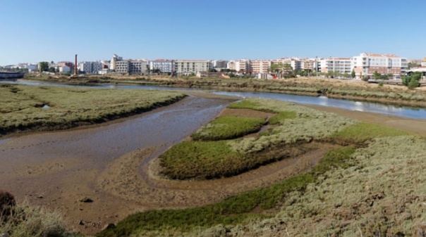Especialistas v&atilde;o a Lagos explicar import&acirc;ncia de zonas h&uacute;midas