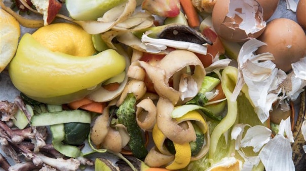 Algar e AMAL v&atilde;o reunir sobre os desafios dos biorres&iacute;duos no Algarve 