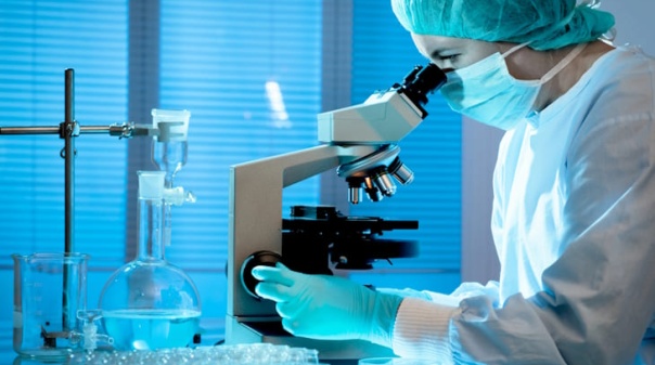 Algarve 2030 abre concursos de apoio ao investimento em tecnologias digitais e biotecnologia