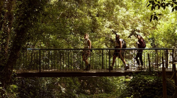 Este fim de semana, &laquo;o melhor do Algarve&raquo; mostra-se no Mundo Abreu