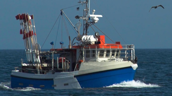 Deputados socialistas do Algarve questionam atrasos nos subs&iacute;dios devidos aos pescadores