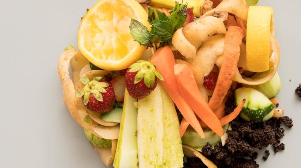 C&acirc;mara de Lagoa aposta no cumprimento das metas europeias para os res&iacute;duos urbanos