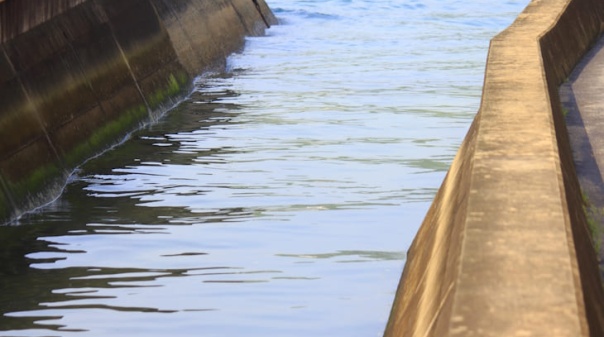 Potencial agr&iacute;cola do Algarve s&oacute; se desenvolve com garantia de acesso a &aacute;gua 