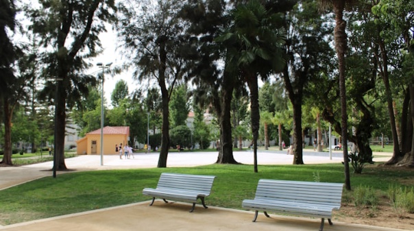 Assembleia Municipal de Faro aprovou cria&ccedil;&atilde;o do Regulamento de Gest&atilde;o do Arvoredo Urbano