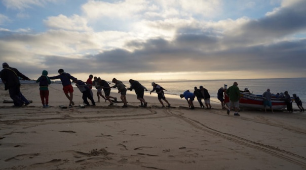Autarquia vai dar nova vida &agrave; Arte X&aacute;vega em Lagos