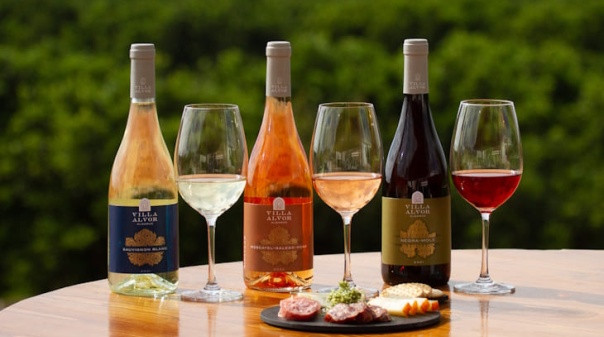 Especialistas internacionais v&atilde;o conhecer oferta tur&iacute;stica e vinhos de Portim&atilde;o