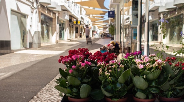 Bairro Comercial Digital de Portim&atilde;o inicia fase de implementa&ccedil;&atilde;o 