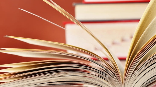 Loul&eacute; e Almancil celebram Dia Mundial da Poesia 