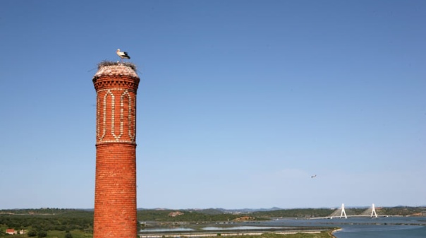 Algarve convida a conhecer de perto o seu patrim&oacute;nio produtivo