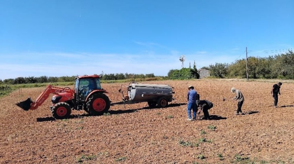 CCDR Algarve realizou investimento de 2 milh&otilde;es de euros no Centro de Experimenta&ccedil;&atilde;o Agr&aacute;ria de Tavira