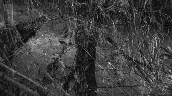 Vasco C&eacute;lio mostra fotografias do seu quotidiano no Convento Esp&iacute;rito Santo, em Loul&eacute;