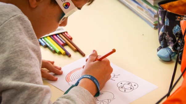 Em projeto pioneiro no Algarve, escolas de VRSA apoiam alunos com daltonismo