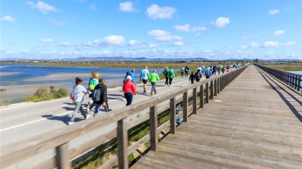 Marcha-Corrida da Ria Formosa &eacute; j&aacute; no domingo com dois percursos pela natureza 
