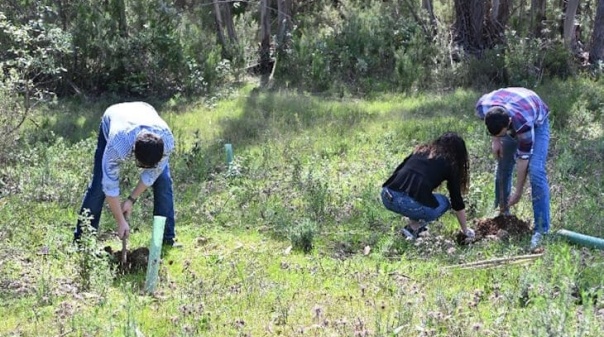 Dia Internacional das Florestas assinalado em Loul&eacute; com entrega e planta&ccedil;&atilde;o de &aacute;rvores e plantas arom&aacute;ticas 