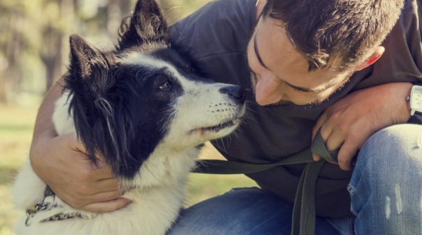 Candidaturas abertas para cria&ccedil;&atilde;o de mural art&iacute;stico no Parque Canino de Quarteira