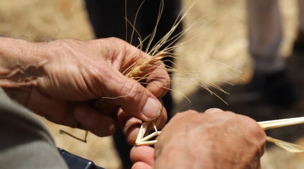 Loul&eacute; e Tavira recebem 3.&ordf; edi&ccedil;&atilde;o das Jornadas T&eacute;cnicas de Agricultura Biol&oacute;gica do Algarve