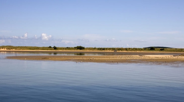 Tavira reserva v&aacute;rias atividades na Semana da Ria Formosa