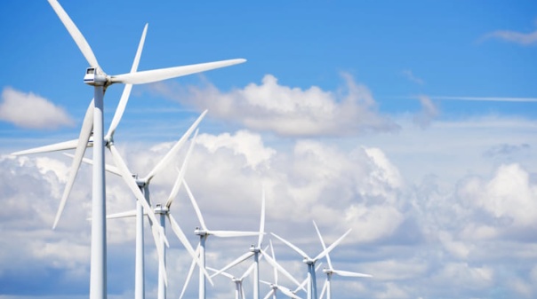 Plataforma ambiental op&otilde;e-se &agrave; modifica&ccedil;&atilde;o de projetos e&oacute;licos no Algarve