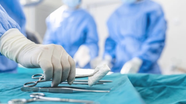 Homem mordido por cadela em Tavira entrou em Faro passou por Lisboa e regressou ao Algarve para ser tratado 