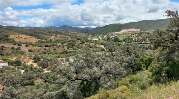 Geoparque Algarvensis reconhecido como Geoparque Mundial da UNESCO