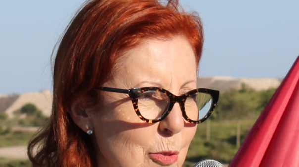 Ministra diz que dessalinizadora s&oacute; para quando n&atilde;o h&aacute; solu&ccedil;&otilde;es mais baratas