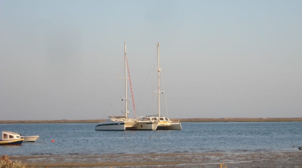 &ldquo;H&aacute; um mundo por descobrir&rdquo; no Dia Aberto do Parque Natural da Ria Formosa