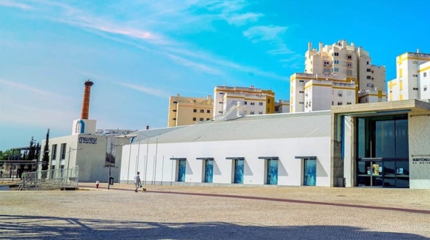 Especialistas portugueses e espanh&oacute;is v&atilde;o a Portim&atilde;o discutir impacto de alga invasora