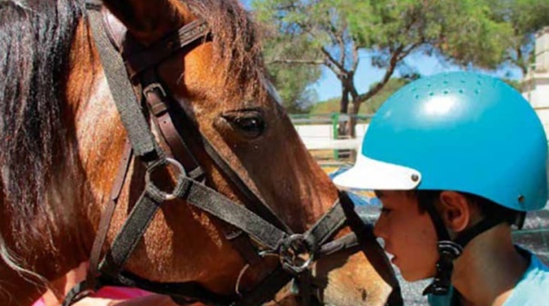 Biblioteca de Loul&eacute; apresenta manual de utiliza&ccedil;&atilde;o do cavalo como recurso terap&ecirc;utico